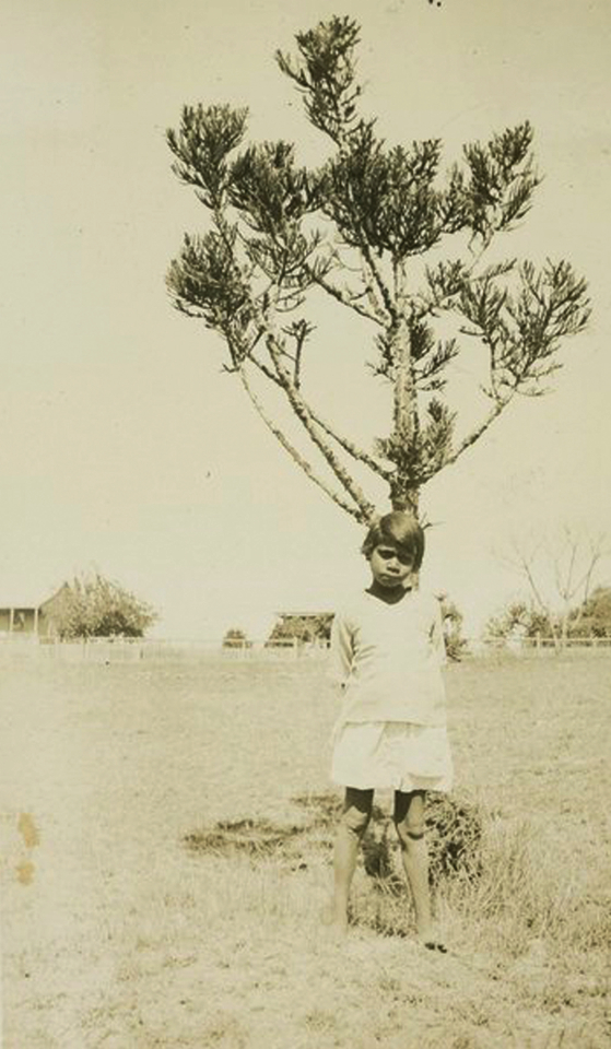 Girl in front of Bunya Pine at Cherbourg Aboriginal Settlement c1934