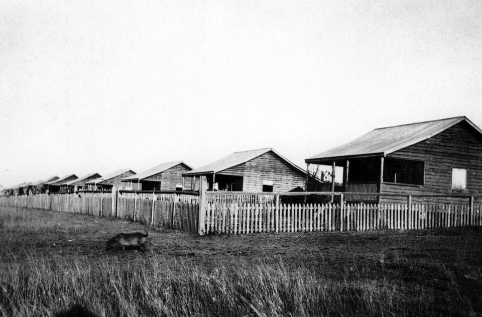 The-first-row-of-cottages-at-Barambah-Aboriginal-Settlement_1919