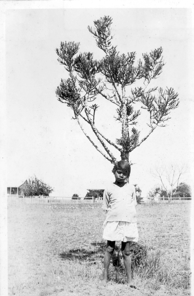 Girl and Bunya Pine at Cherbourg Aboriginal Settlement c1930