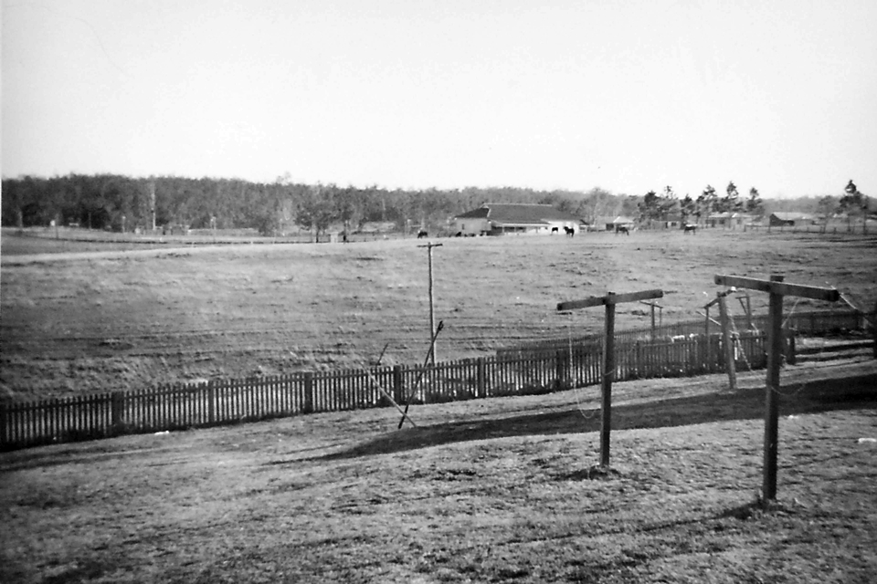 View of showgrounds from the Nurses Quarters at Cherbourg Hospital c1961