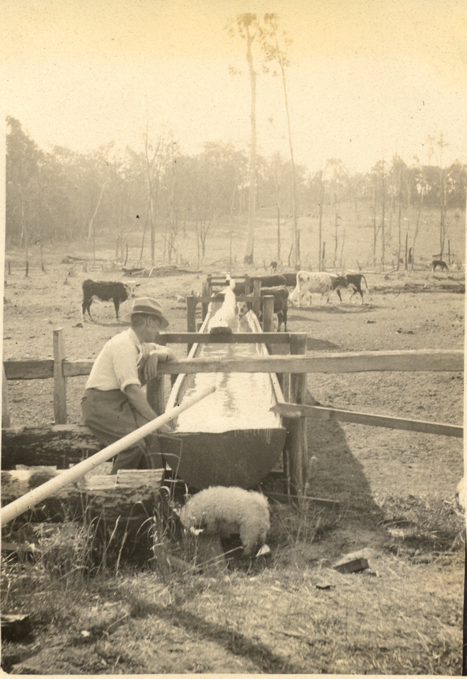 water-trough-for-cattle-cherbourg_1930s