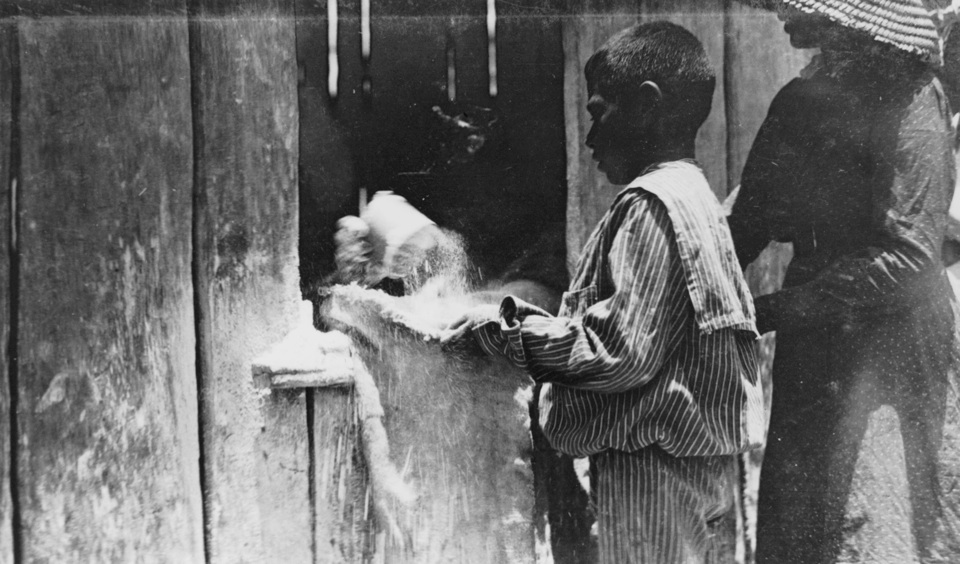 Boy receiving flour rations at Barambah Aboriginal Settlement 1911