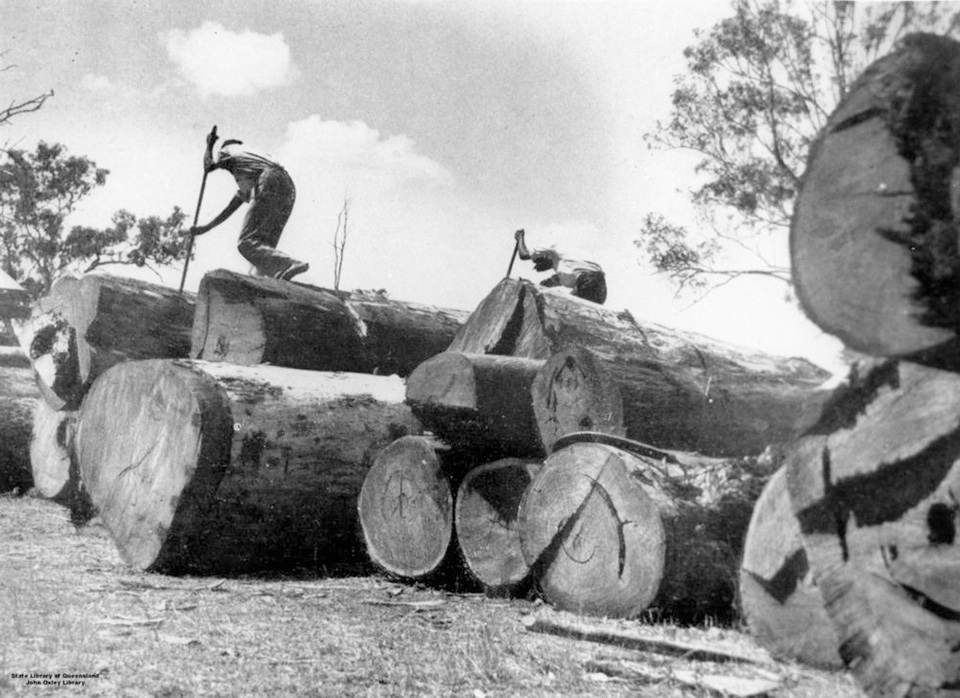 Logs-at-Cherbourg-sawmill_1946