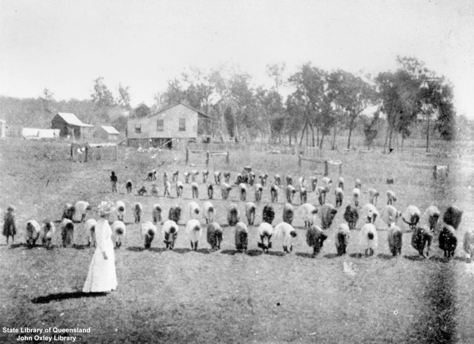 School-children-doing-exercises_1908