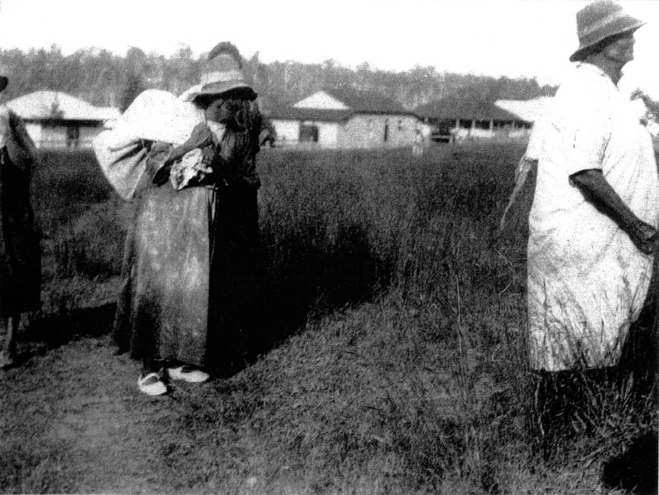 Women returning from Ration Shed at Barambah Aboriginal Settlement c1928